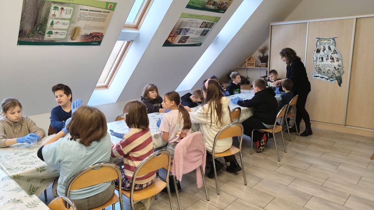 Zdjęcie: Lekcje w TOEE