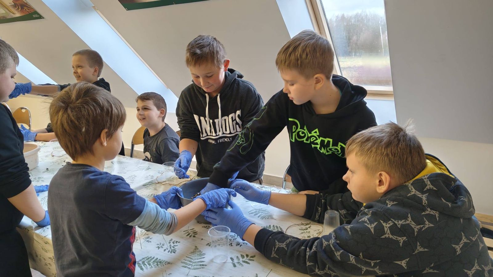 Zdjęcie: Lekcje wTOEE